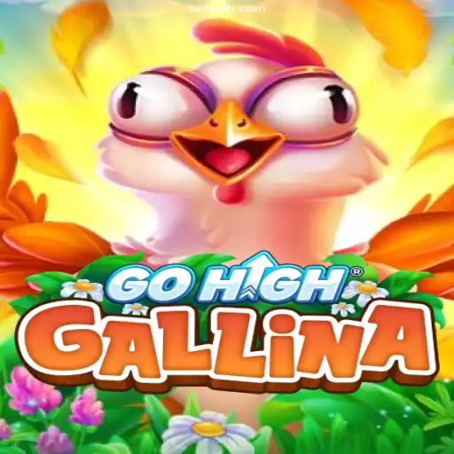 Discover the Excitement of GoHighGallina